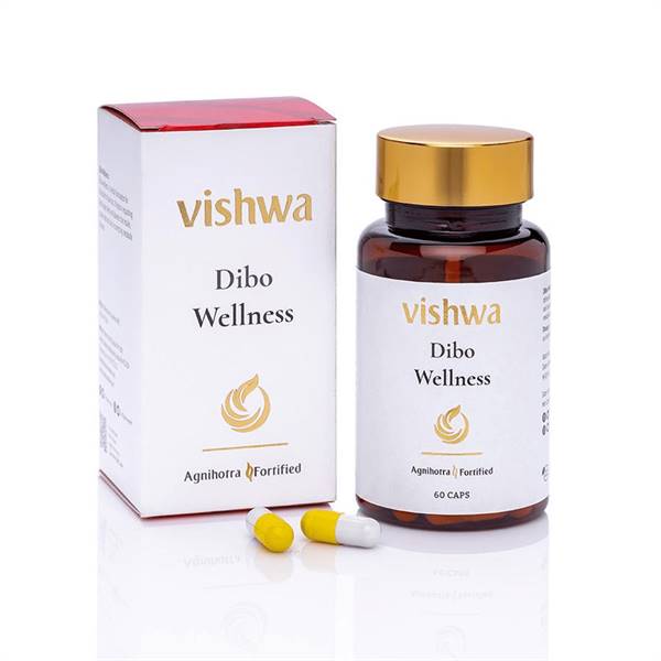 Vishwa Dibo Wellness